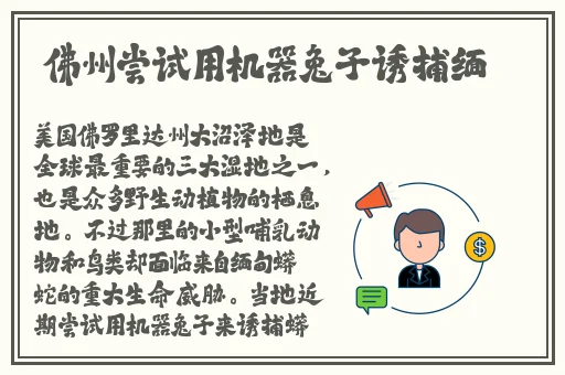 媚娘网站